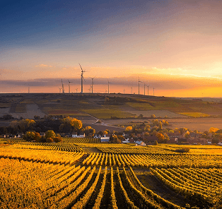 Sustainable and Compliant Operations